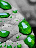 anim240320mobildesign.atw.hu_0183.gif